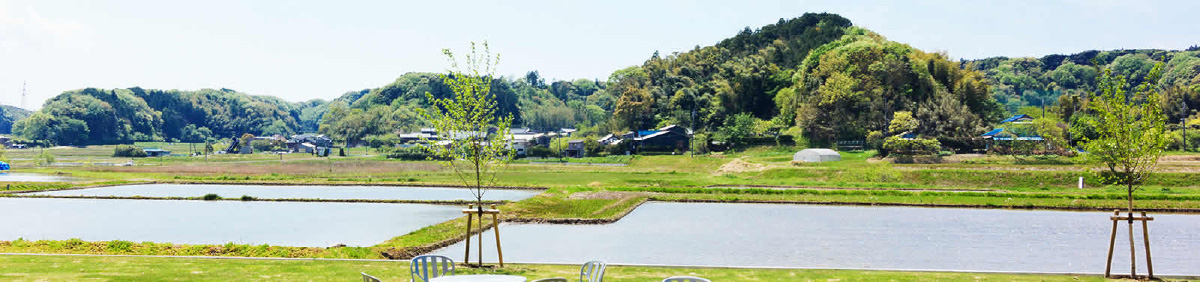 周辺の緑の風景
